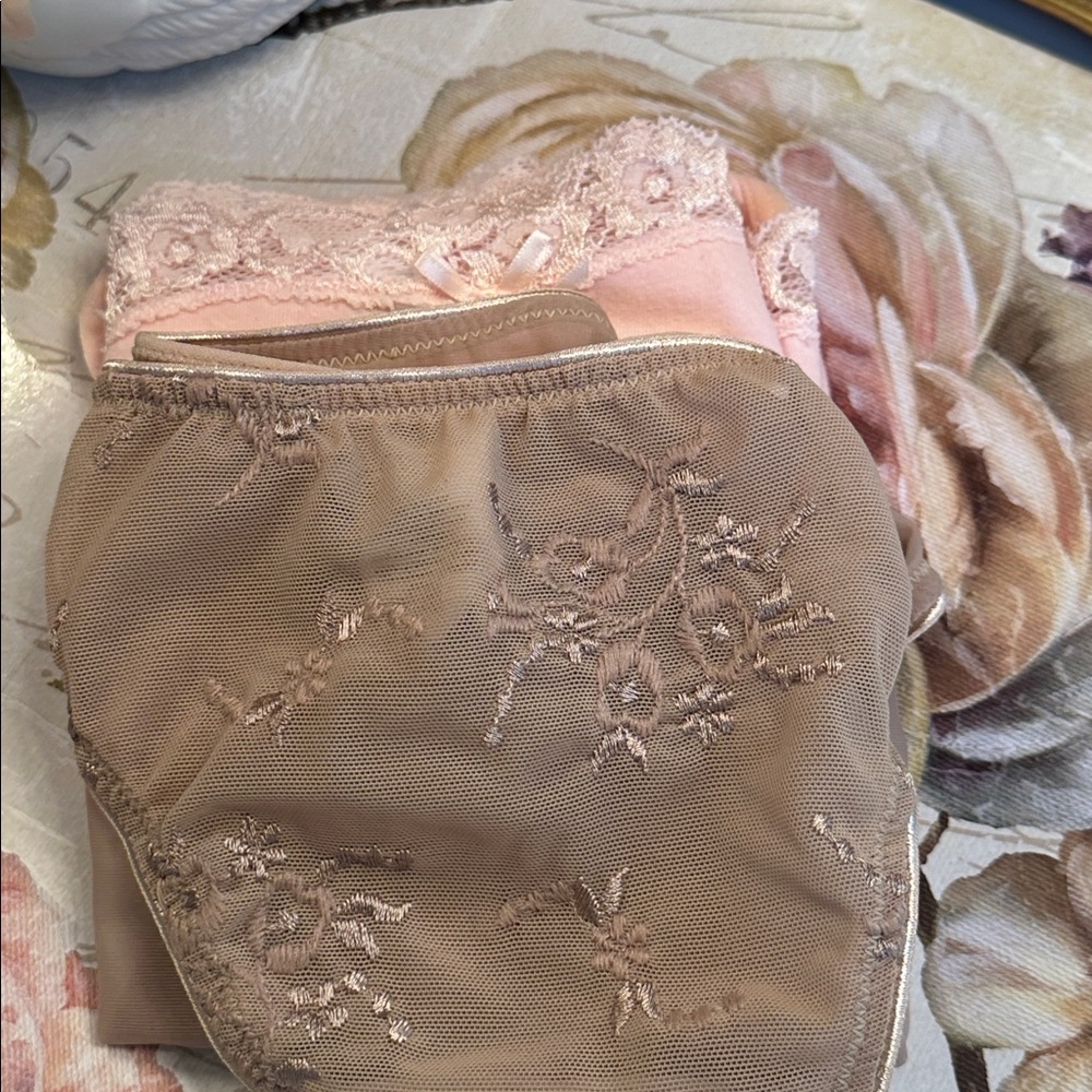 DKNY Two pairs of Size Large panties/underwear - Tan& Pink - NWOT